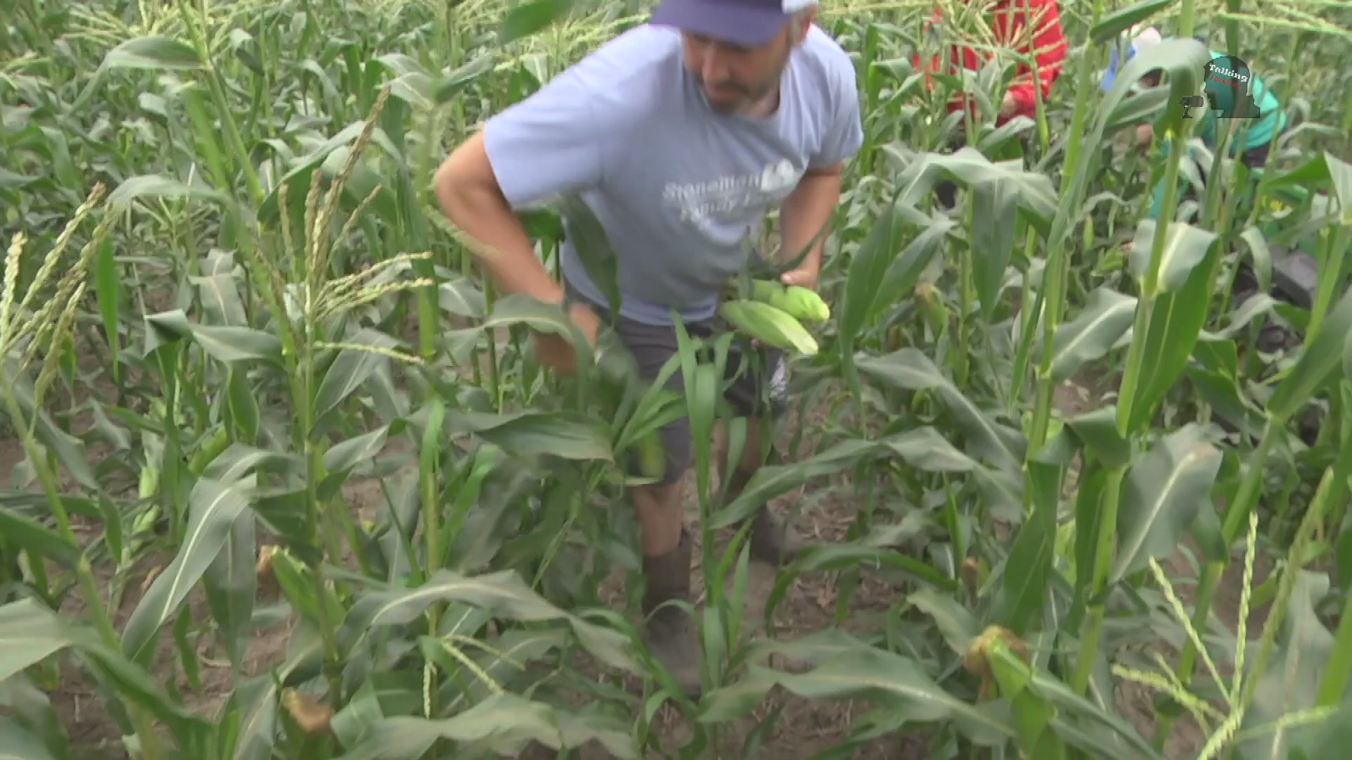 Thumbnail image for TFR Stoneman Farm History 7-27-21