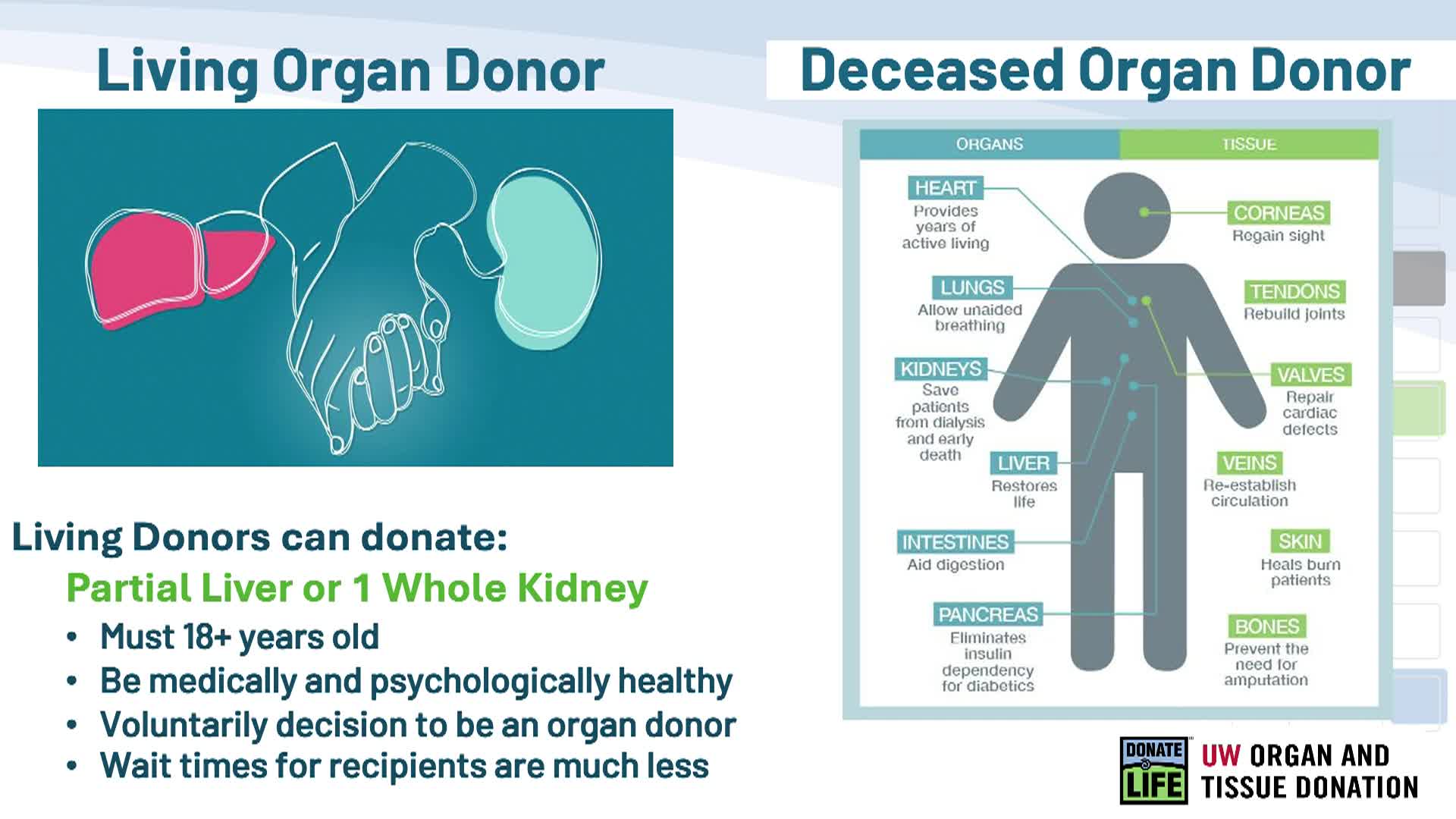 Thumbnail image for Lunch and Learn Series: Organ Donantion 4-15-26