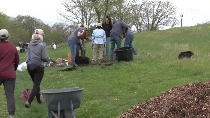 Thumbnail image for Fitchburg Arbor Day Tree Plantings 4-24-26
