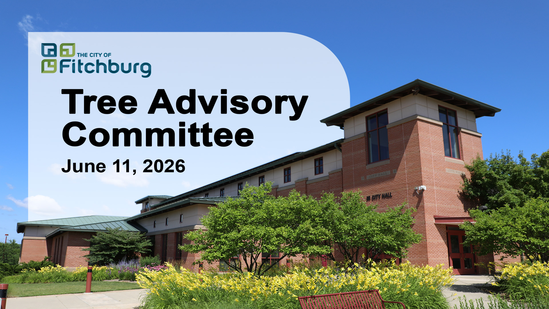 Thumbnail image for LIVE: Tree Advisory Committee 6-11-26