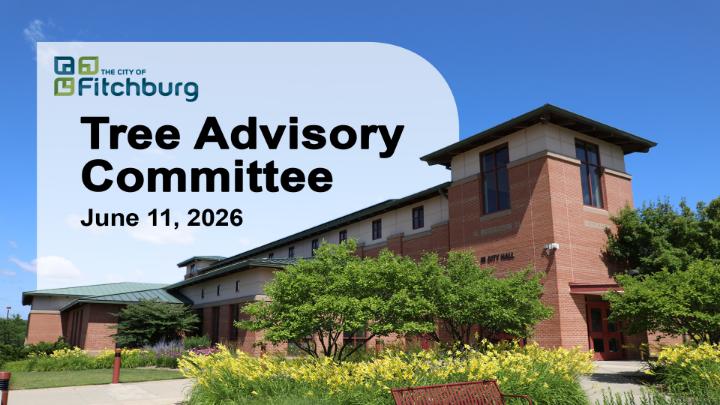 Thumbnail image for LIVE: Tree Advisory Committee 6-11-26