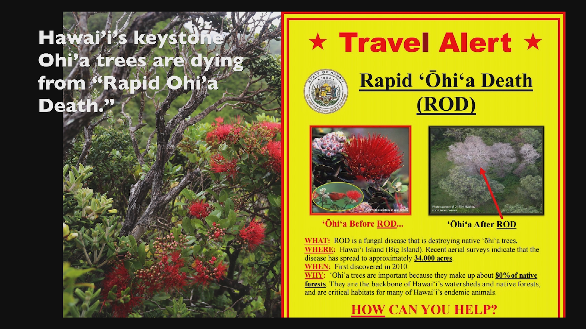 Thumbnail image for Stewart Brand: Revive & Restore 1/26/18